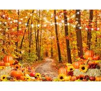 AIIKES 7x5FT Fondo de Bosque Otoñal Con Hojas Caídas - Paisaje Natural Para Fotografía - Cosecha, Paja, Calabaza, Fiesta Decorativa XY96