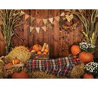 AIIKES 8x6FT Fotografía de Acción de Gracias Telón de Fondo Piso de Madera Granero Fondo de Cosecha Calabazas de Otoño Hojas de Maíz Girasol Telones de Fondo Retrato de Bebé Decoración 11-741
