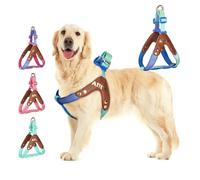 AIITLE Arnés antitirones para Perros: Chaleco Acolchado Reflectante, Suave y Ajustable para Perros pequeños, medianos y Grandes, diseño antiestrangulamiento para pasear Azul Degradado M