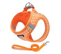 AIITLE Arnés para perro pequeño con correa, malla suave y transpirable, patrón a cuadros y tiras reflectantes, ideal para entrenamiento, correr y salidas de fiesta (S, naranja)