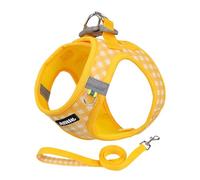 AIITLE Arnés y Correa Ajustables para Perros, Chaleco Reflectante de Malla Suave a Cuadros, Cachorros y Gatos domésticos, para Caminar al Aire Libre, Correr, Amarillo, XS