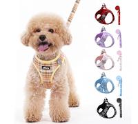 AIITLE Arnés y correa para perros - Chaleco reflectante suave para perros de tamaño muy pequeño - Ajustable para caminar, correr, entrenar y acampar - Beige - Talla XXS