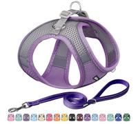 AIITLE Arnés y Correa para Perros Easy Walk - Pet Supply Arnés Ajustable para Perros Que no Tira, se coloca fácilmente y no se ahoga, fácil de Poner en Perros medianos Púrpura L