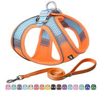 AIITLE Arnés y Correa para Perros Easy Walk - Pet Supply Arnés Ajustable para Perros Que no Tira, se coloca fácilmente y no se ahoga, fácil de Poner en Perros medianos Naranja L