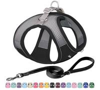 AIITLE Arnés y Correa para Perros Easy Walk - Pet Supply Arnés Ajustable para Perros Que no Tira, se coloca fácilmente y no se ahoga, fácil de Poner en Perros medianos Negro L