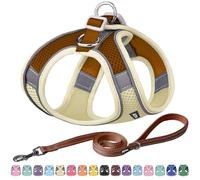 AIITLE Arnés y Correa para Perros Easy Walk - Pet Supply Arnés Ajustable para Perros Que no Tira, se coloca fácilmente y no se ahoga, fácil de Poner en Perros medianos Beige L