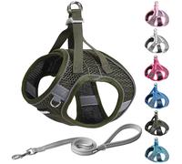 AIITLE Dog Harness with Leash Set - All Weather Breathable Mesh, Reflective Stripes, Adjustable Escape Proof Pet Outdoor Harnesses for Medium Dogs Army Green M