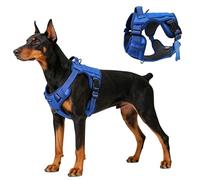 AIITLE Harnés táctico para Perros medianos - Chaleco de Servicio sin tirón con asa y Bandas Pals, diseño Reflectante sin estrangulamiento para Entrenamiento y Paseo, Azul, M