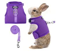 AIITLE Juego de arnés y correa ligero de Escape Bunny, chaleco de malla de aire con doble anillo en D, diseño de cinta mágica y ajustable, para entrenamiento de hurones, gatos, cachorros y aventuras