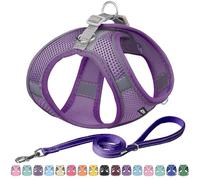 AIITLE - Juego de arnés y correa para perro, chaleco acolchado ajustable para todo tipo de clima, puesta fácil por las patas, asa acolchada suave, para perros pequeños y medianos, morado, talla S