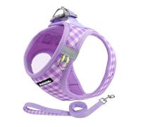 AIITLE No Pull Juego de Arnés y Correa para Perros Step-in de Malla Suave Reflectante para Cachorros y Gatos Extra Pequeños Arnés de Chaleco para Perros para Mascotas, Morado, XXS