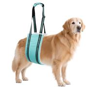 AIITLE Portabebés para Perros con Soporte para Patas traseras - Diseño Reflectante, Ideal para Perros Mayores o con Artritis y para la recuperación posoperatoria (Turquesa, L)