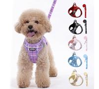 AIITLE Set de arnés y Correa Anti-tirones, arnés Chaleco Reflectante de Paso para Perros pequeños y medianos, arnés Ajustable de Cuadros para Paseos, Correr y Entrenamiento, Morado XS