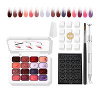 AIJIMEI 16 esmaltes de uñas de gel Ombre, realizando un efecto de regla gradual, fácil de usar, duradero, esmalte de uñas francés, adecuado para amantes de las uñas (set6)