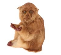 Ailan También Puede ser un Maravilloso Regalo para Festivales para quienes aman a los Animales. La Encantadora Estatua de Mono, Adorno de jardín, añade un Toque Original a los Espacios al Aire Libre.