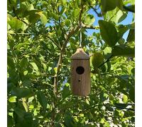 Aimanter Casas de colibrí de gorrión golondrina, nueva casa de colibrí de madera para colgar en el exterior, nido de colibrí natural para colgar en el exterior, adorno para pájaros silvestres, resina