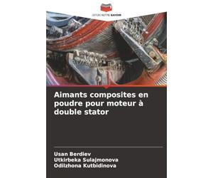 Aimants composites en poudre pour moteur à double stator