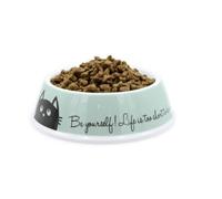 AIME comedero bebedero de melanina antideslizante beige para gatos y perros pequeños