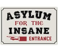 AimQurt Cartel de metal con texto en inglés "Asylum For The Insane Entrance", indicación de dirección, divertido y humorístico, elegante, decoración artística para la pared del hogar, club, bar