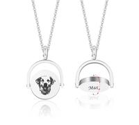 Aina Lighting Collar personalizado con retrato de mascotas, joyería conmemorativa grabada reversible para perro, gato, regalo para amantes de las mascotas, perro, mamá, papá, 40+5 cm, Acero