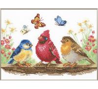 Aine - Spring Birds A1040, kit de punto de cruz contado, 8¼ x 6 pulgadas, kits de punto de cruz para principiantes y avanzados, kit de punto de cruz para adultos, kit de costura de bordado