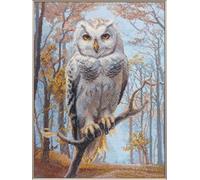 Aine - Wildwood Owl A1016, kit de punto de cruz contado, 11¾ x 15¾ pulgadas, para principiantes y avanzados, juego de bordado