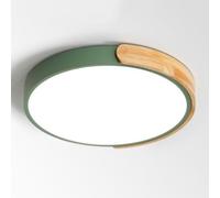 Aioneer Modern Ceiling Light Fixture with Energy Saving Three Color Dimming Easy Installation For Closets Kitchens Stairwells Bedrooms-Green-40cm
