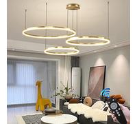 Aioneer Modern Dimmable Pendant Light with Remote Control Adjustable Height Living Room Chandelier For Bedroom Salon and Dining Room Chic Combination Hanging Lamp-Gold-40+60+80