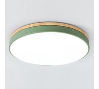 Aioneer Nordic Wooden Ceiling Lamp Round Adjustable Three Color Fixture For Bedrooms Closets Kitchens and Stairwells Industrial Creative Flat Light-Green-40cm