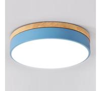 Aioneer Nordic Wooden Ceiling Lamp Round Adjustable Three Color Fixture For Bedrooms Closets Kitchens and Stairwells Industrial Creative Flat Light-Blue-50cm