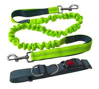 Aiqeer Correa Perro Manos Libres, Cinturón de Cintura Ajustable Gris y Correa Elástica Retráctil Verde, Correa Perros Trotar con Costuras Reflectantes