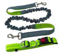 Aiqeer Correa Perro Manos Libres, Cinturón de Cintura Ajustable Verde y Correa Elástica Retráctil Gris, Correa Perros Trotar con Costuras Reflectantes