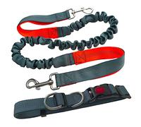 Aiqeer Correa Perro Manos Libres Gris, Cinturón de Cintura Ajustable y Correa Elástica Retráctil, Correa Perros Trotar con Costuras Reflectantes (Manija Naranja)