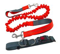 Aiqeer Correa Perro Manos Libres Naranja, Cinturón de Cintura Ajustable y Correa Elástica Retráctil, Correa Perros Trotar con Costuras Reflectantes (Manija Gris)