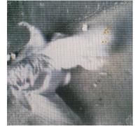 Air Conditioning - Dead Rails [Vinilo]