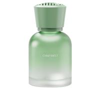 Air Freshen - dispensador de fragancias sólidas a base de hierbas
