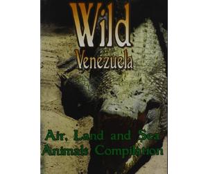 Air, Land and Sea Animals [Reino Unido] [DVD]