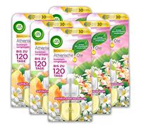 Air Wick 4002448086123 Life Scents acoplador de aroma Conector, nachfüllf lakon, verano, Placer (6 unidades)