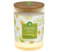 Air Wick Aroma de ánimo Vela miel melón & ylang-ylang, 1 pieza