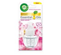 Air Wick - Recambio para ambientador (6 unidades, 19 ml, aroma de magnolia y flor de cerezo)