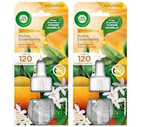 Air Wick - Lote de 3 blísteres de 1 recarga eléctrica anti-Tabac - Ingredientes originales naturales
