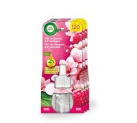 Air Wick Pack de 3 Recambios para Ambientador Eléctrico con aroma a Flor de cerezo y Frambuesa, infusionado con 2 veces más aceites esenciales