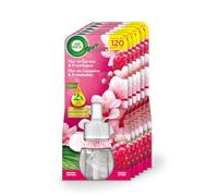 Air Wick Recambios Ambientador Eléctrico, Flor de Cerezo y Frambuesa, Pack 6 Unidades