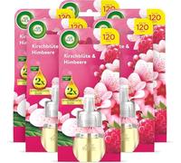 Air Wick Recarga de difusor de aroma a flor de cerezo y frambuesa, aroma floral afrutado para el enchufe, 6 recambios de frasco de aceite aromático de 19 ml