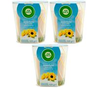 Air Wick Vela Perfumada BRISA DE VERANO 3 x 105g Ambientador