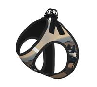 Aircraft Fighter Jets - Juego de correa de arnés para gato y perro, correa reflectante ajustable a prueba de fugas con malla suave transpirable, para mascotas pequeñas y cachorros gatitos