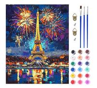 AIRDEA Torre Eiffel Pintar por Numeros Adultos, DIY Pintura por Numeros Adultos, Cielo nocturno Paint By Numbers Adult Pintura al óleo de Lienzo con Pinceles Pigmento Acrílico 40x50 cm (Sin Marco)