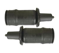 Aire Suspensión Bolsa Compatible Con Range Para Rover MK II 4.0L 4.6L 1995 1996 1997 1998 1999 2000 2001 2002 Bolsa De Suspensión Neumática Delantera Para Coche REB101740 REB101740E