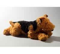 Airedale Terrier