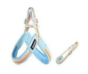 Airedale Terrier - Juego de transportín y correa en Y (1,4 m, ligera, resistente a los desgarros, acolchado suave, azul, talla L)